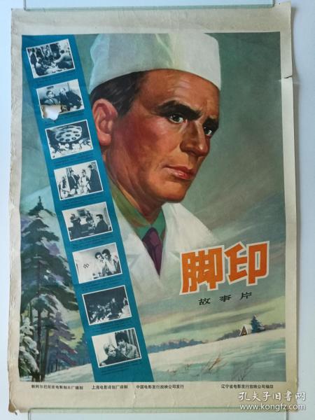 马切拉塔大学 Diploma